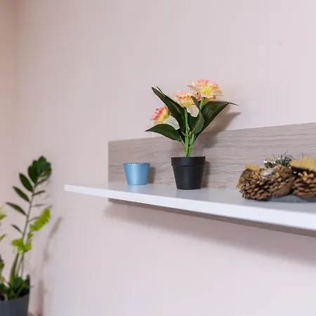 Comfortable 2br Urban Getaway In Center *